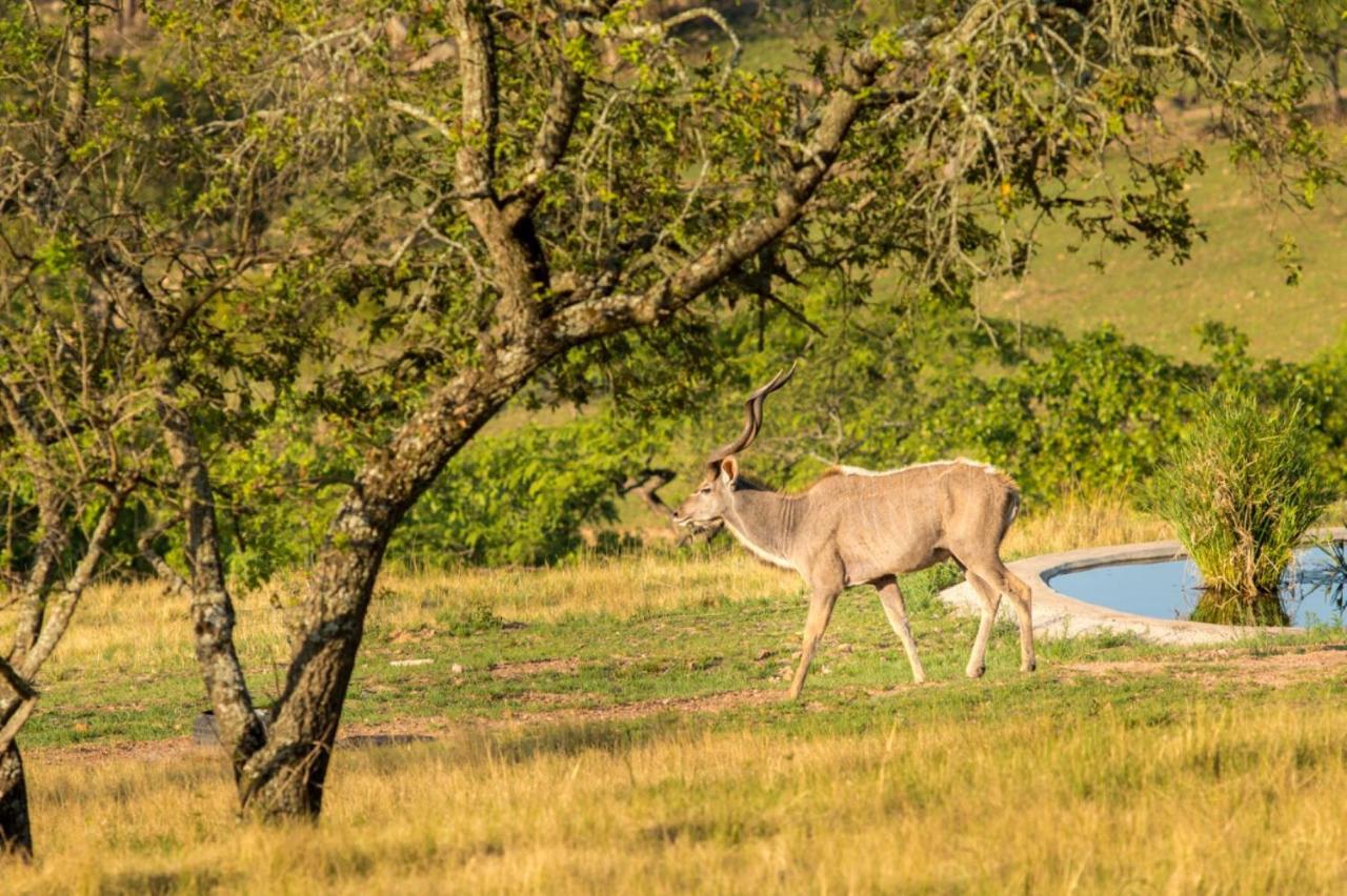 @Nature Luxury Cottages Mbombela ภายนอก รูปภาพ