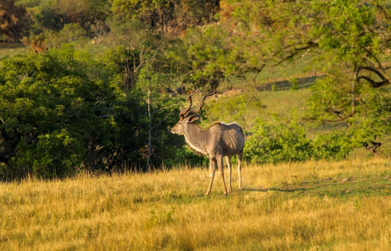 @Nature Luxury Cottages Mbombela ภายนอก รูปภาพ