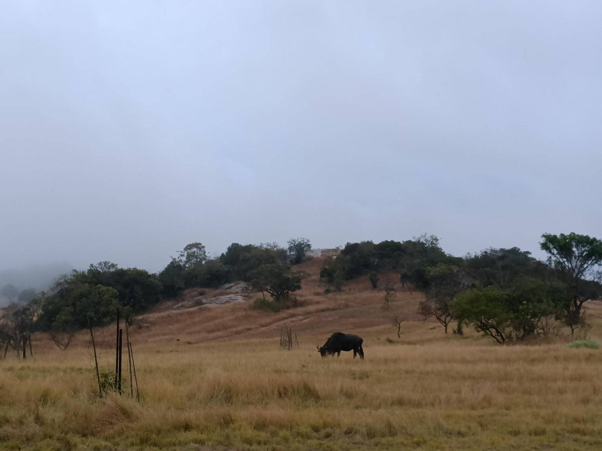 @Nature Luxury Cottages Mbombela ภายนอก รูปภาพ