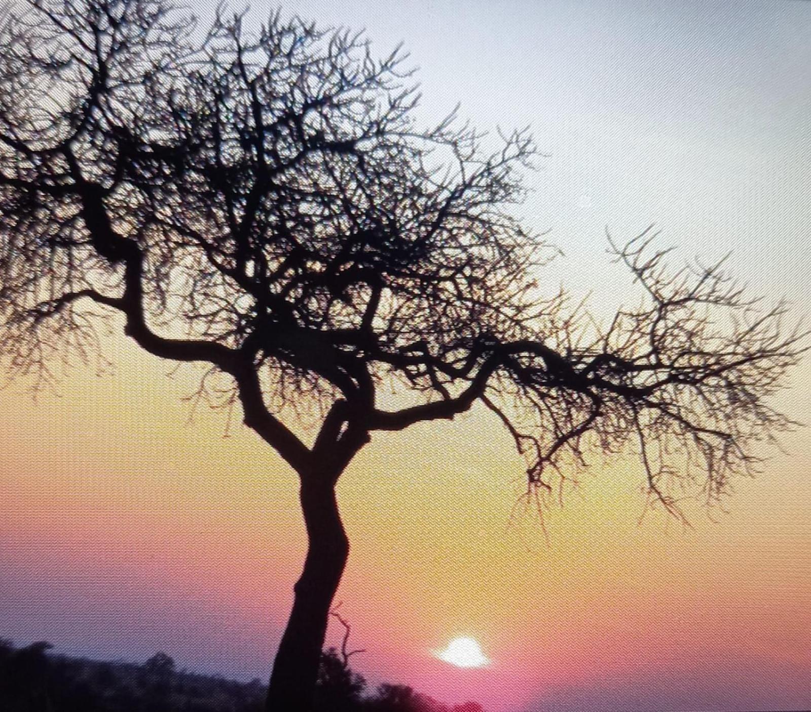 @Nature Luxury Cottages Mbombela ภายนอก รูปภาพ