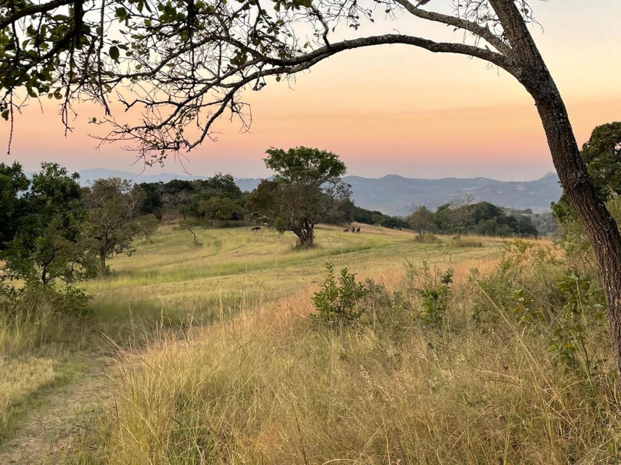 @Nature Luxury Cottages Mbombela ภายนอก รูปภาพ