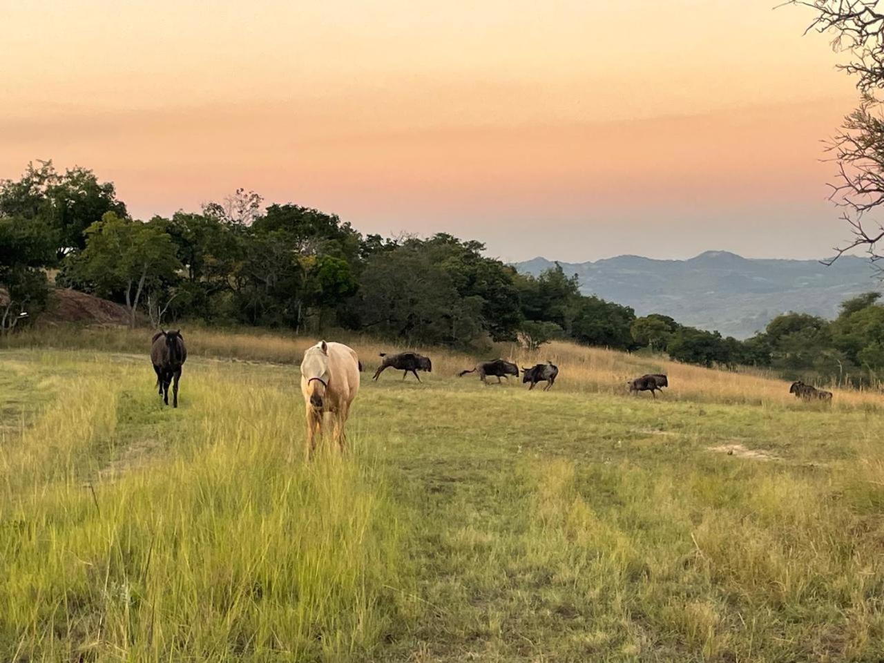 @Nature Luxury Cottages Mbombela ภายนอก รูปภาพ
