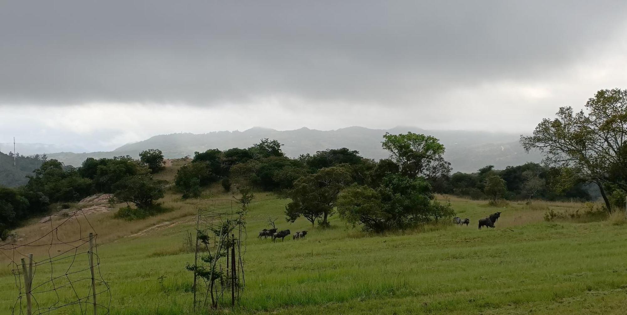 @Nature Luxury Cottages Mbombela ภายนอก รูปภาพ