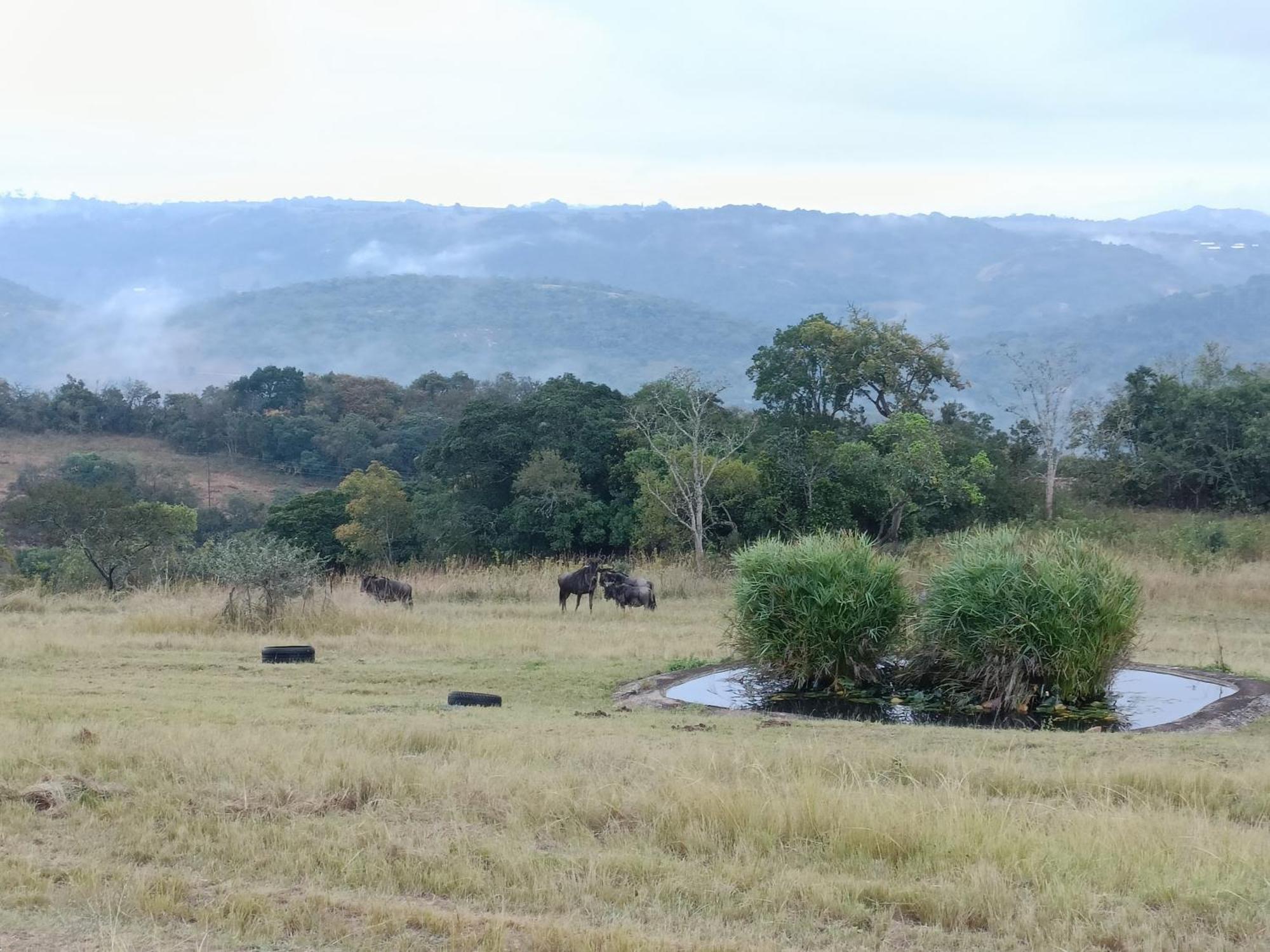 @Nature Luxury Cottages Mbombela ภายนอก รูปภาพ