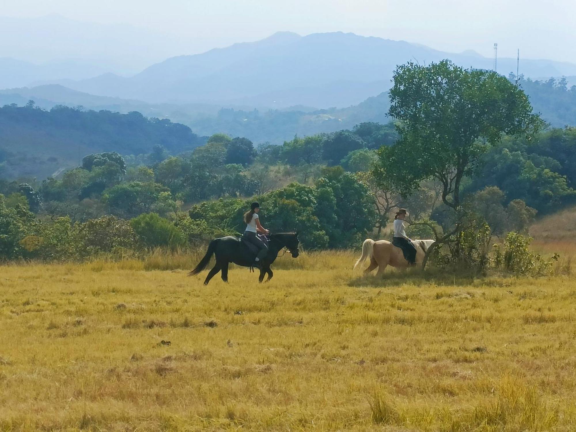 @Nature Luxury Cottages Mbombela ภายนอก รูปภาพ