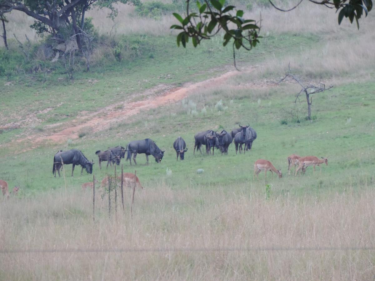 @Nature Luxury Cottages Mbombela ภายนอก รูปภาพ