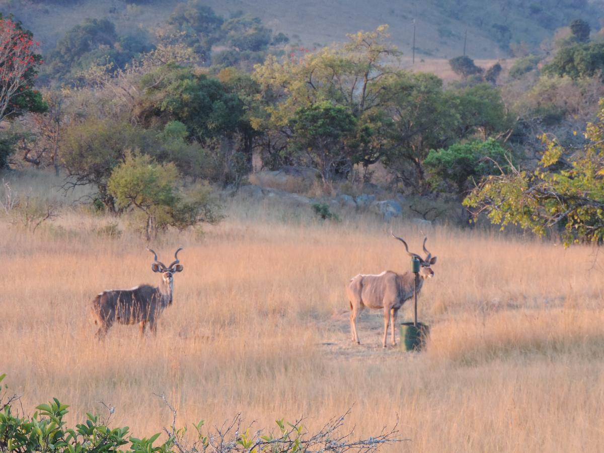 @Nature Luxury Cottages Mbombela ภายนอก รูปภาพ