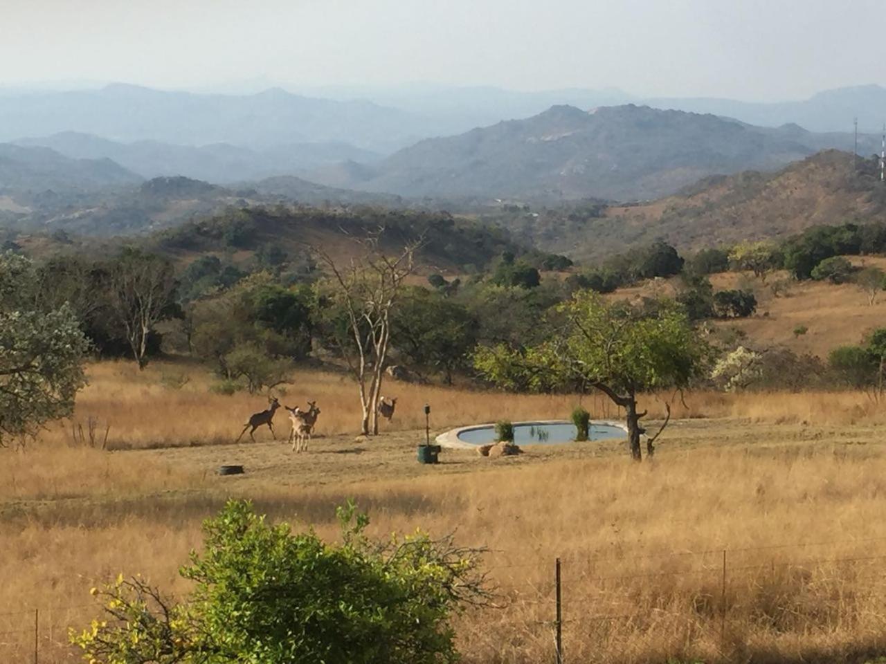 @Nature Luxury Cottages Mbombela ภายนอก รูปภาพ
