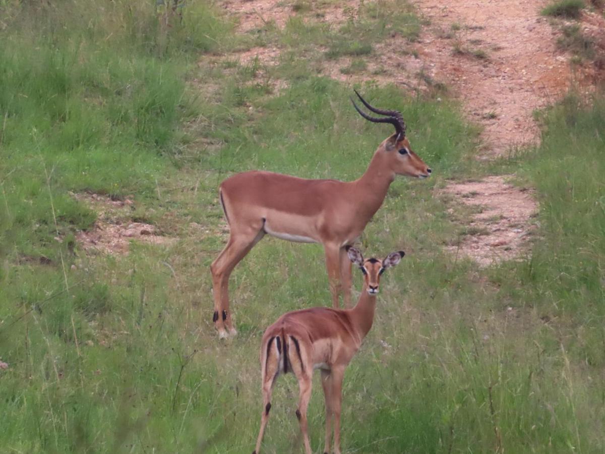 @Nature Luxury Cottages Mbombela ภายนอก รูปภาพ